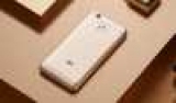 Xiaomi         100    