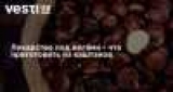 eao -  -    