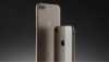      : Apple   iPhone 8 ()