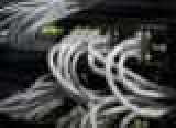   The Pirate Bay     ,  