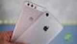   Apple      iPhone 8